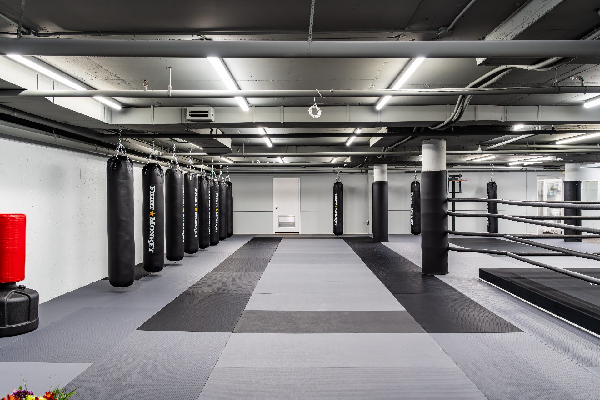 Long row of Fight Monkey heavy bags lining the main training hall