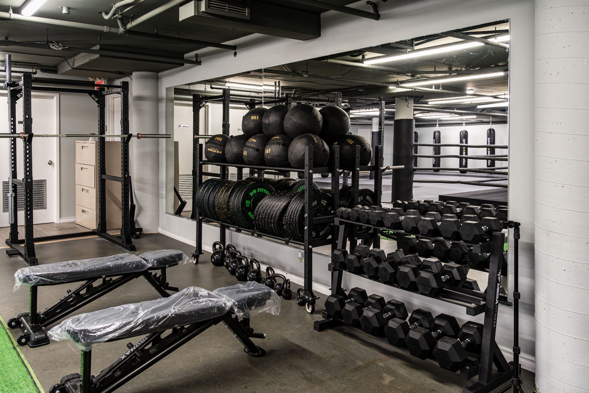 Olympic weight plates, racks and benches beside the ring