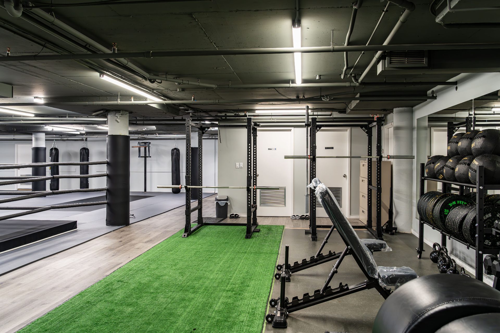 Squat racks, medicine ball storage and bench on turf strip